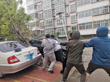 【阳光快讯】大雨过后，那些最可爱的背影，为我们排忧解困——阳光财险沧州中支理赔服务部查勘人员雨天救援被砸车辆764.png