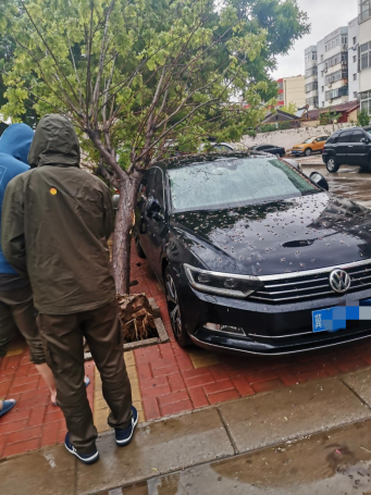 1589774179425862.png 【阳光快讯】大雨过后,那些最可爱的背影,为我们排忧解困——阳光财险沧州中支理赔服务部查勘人员雨天救援被砸车辆270.png