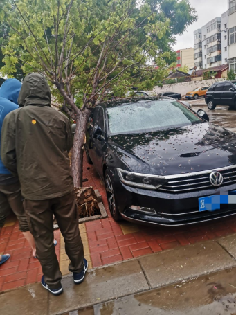 【阳光快讯】大雨过后，那些最可爱的背影，为我们排忧解困——阳光财险沧州中支理赔服务部查勘人员雨天救援被砸车辆270.png