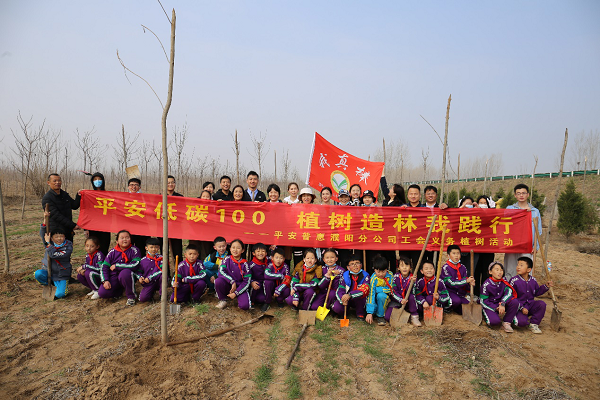 平安普惠：植树造林我践行 ——平安普惠濮阳分公司公益活动