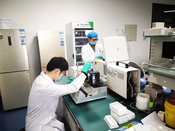 重磅！河南大学新冠病毒检测试剂盒成功转化