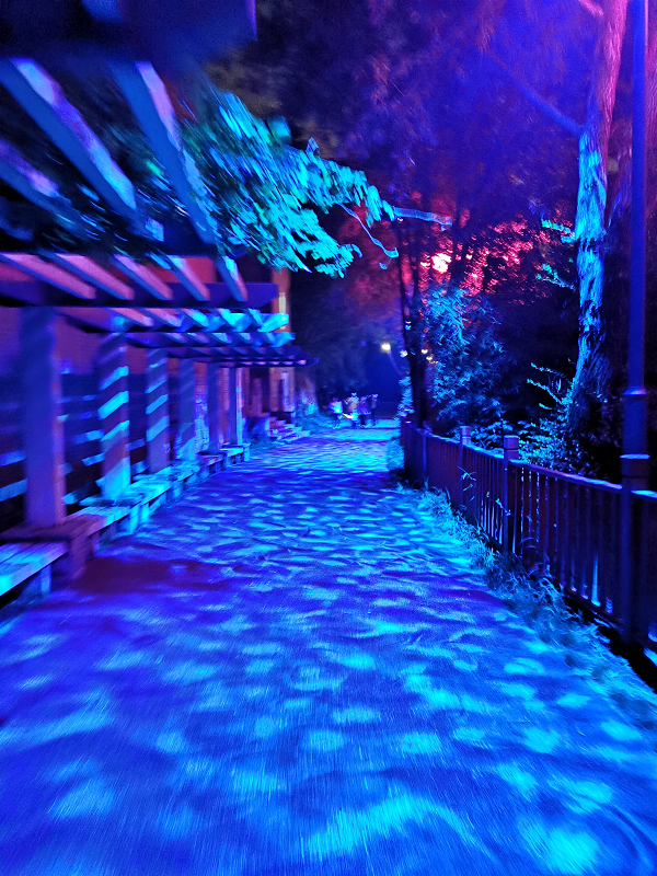 1595066635316368.png 图片4.png
