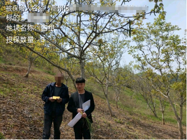 【阳光保险】阳光保险创新种植险，力保春耕种603.png